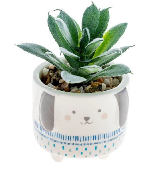 Shaped Succulent Pot - Squash Cancer