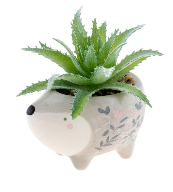 Shaped Succulent Pot - Squash Cancer