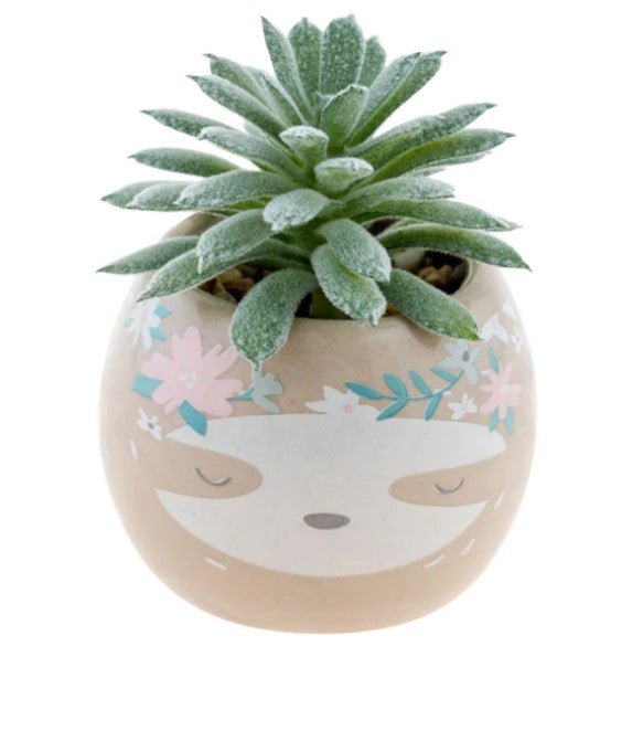 Shaped Succulent Pot - Squash Cancer