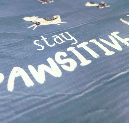 Stay Pawsitive Gift Set - Squash Cancer