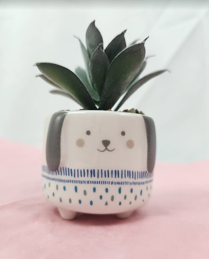 Stay Pawsitive Gift Set - Squash Cancer