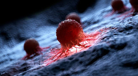 Different Types of Cancers and How To Detect For Them - Squash Cancer