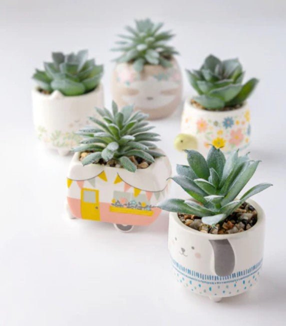 succulents cute pots Karma Shaped Succulent Pot (Hedgehog)